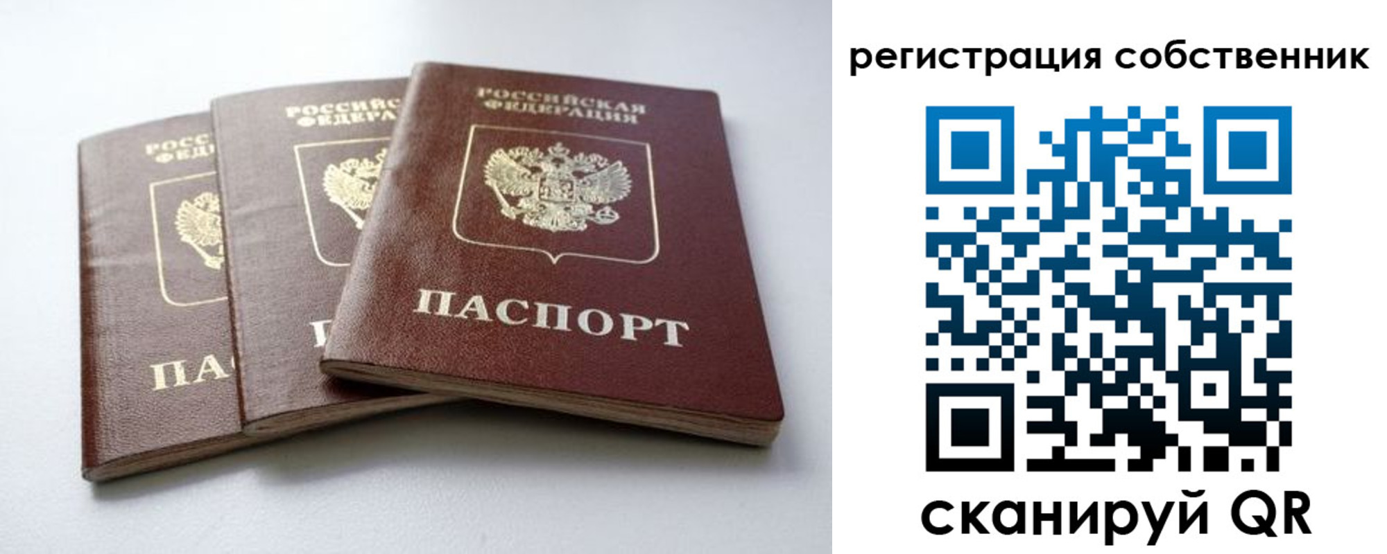 прописка для школы в Каменке
